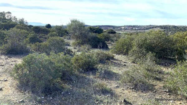terreno agricolo in vendita a Serdiana