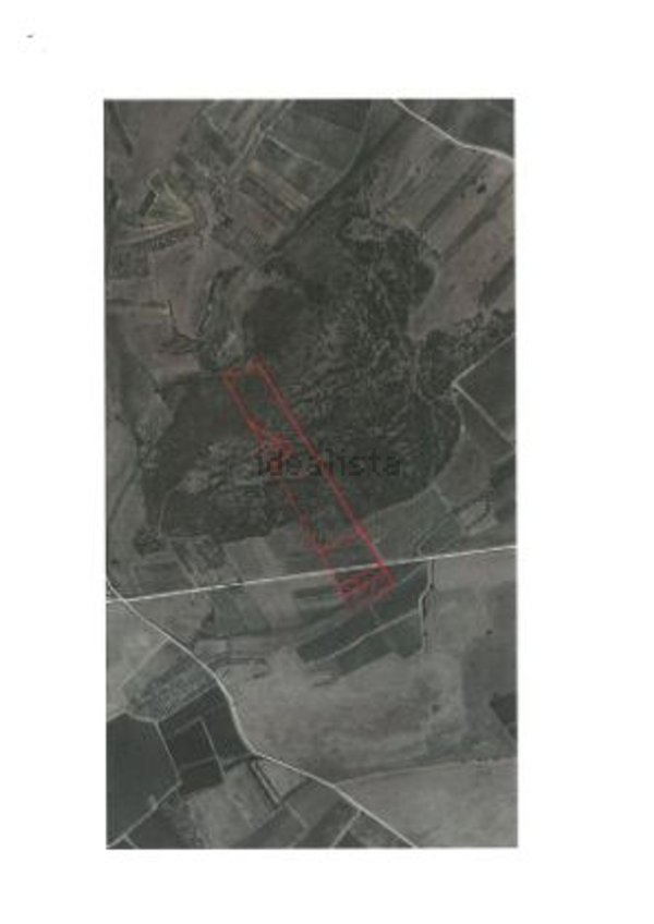 terreno agricolo in vendita a Serdiana