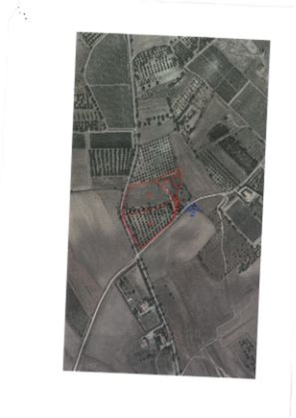terreno agricolo in vendita a Serdiana