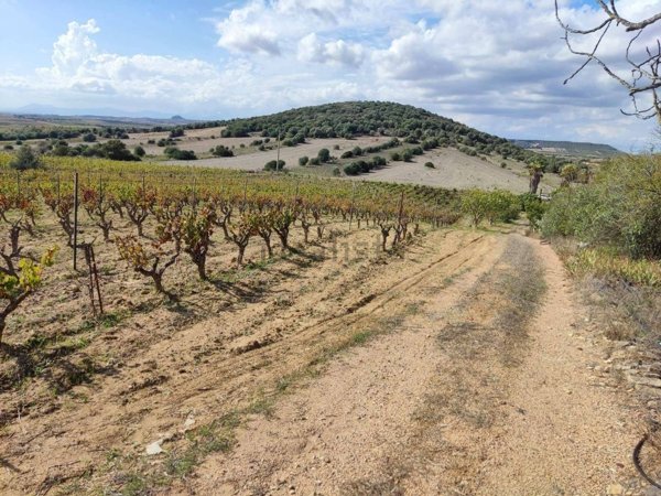 terreno in vendita a Serdiana