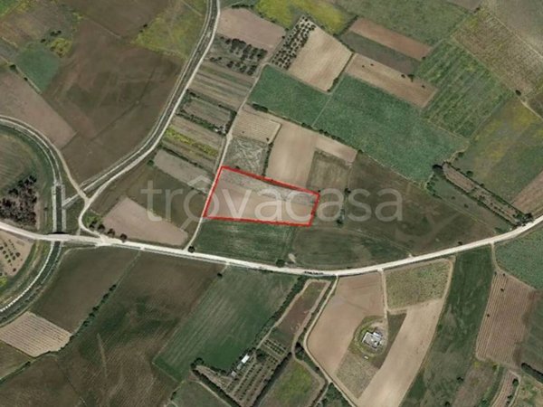 terreno agricolo in vendita a Serramanna