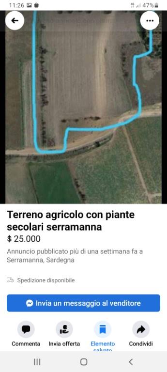 terreno agricolo in vendita a Serramanna
