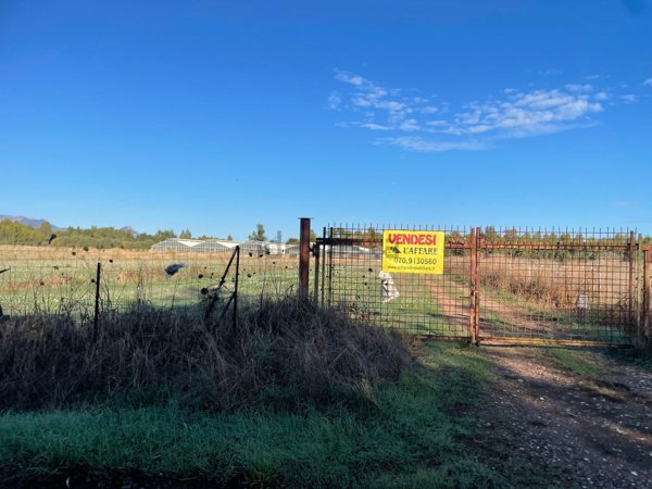 azienda agricola in vendita a Serramanna
