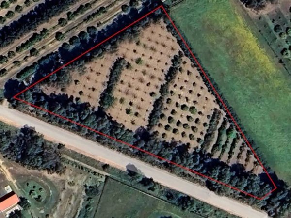 terreno agricolo in vendita a Serramanna