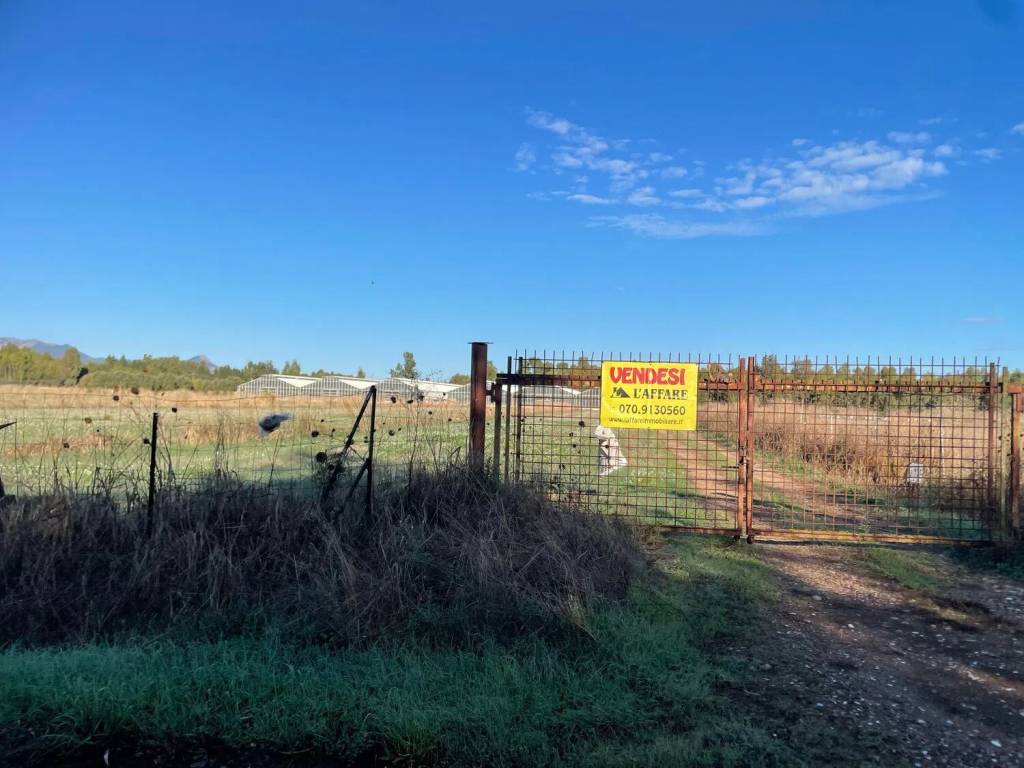 terreno agricolo in vendita a Serramanna