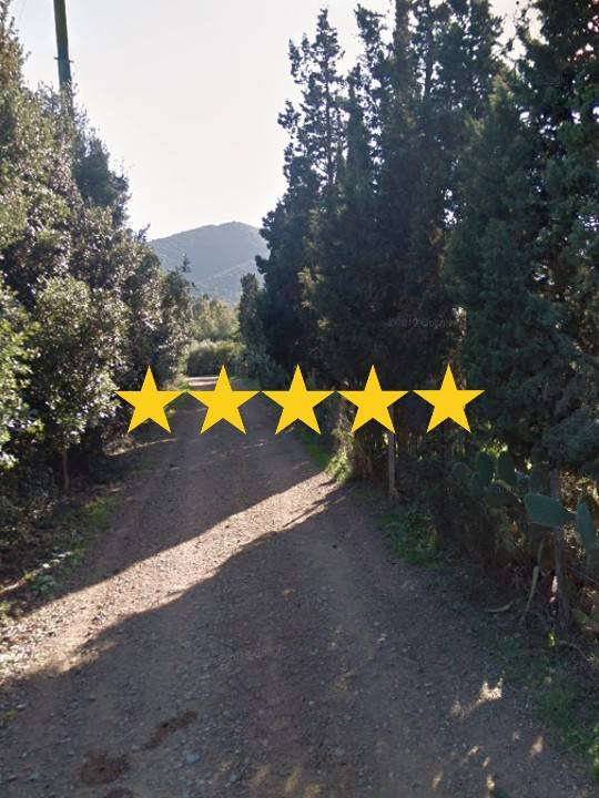 immagine annuncio 0 di 15