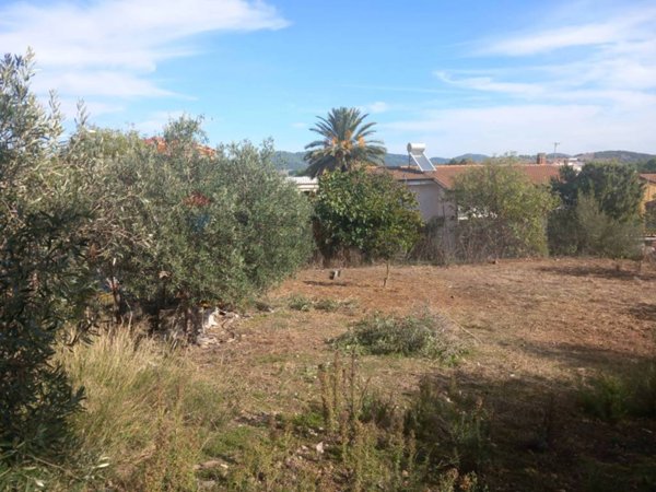 terreno agricolo in vendita a Siliqua