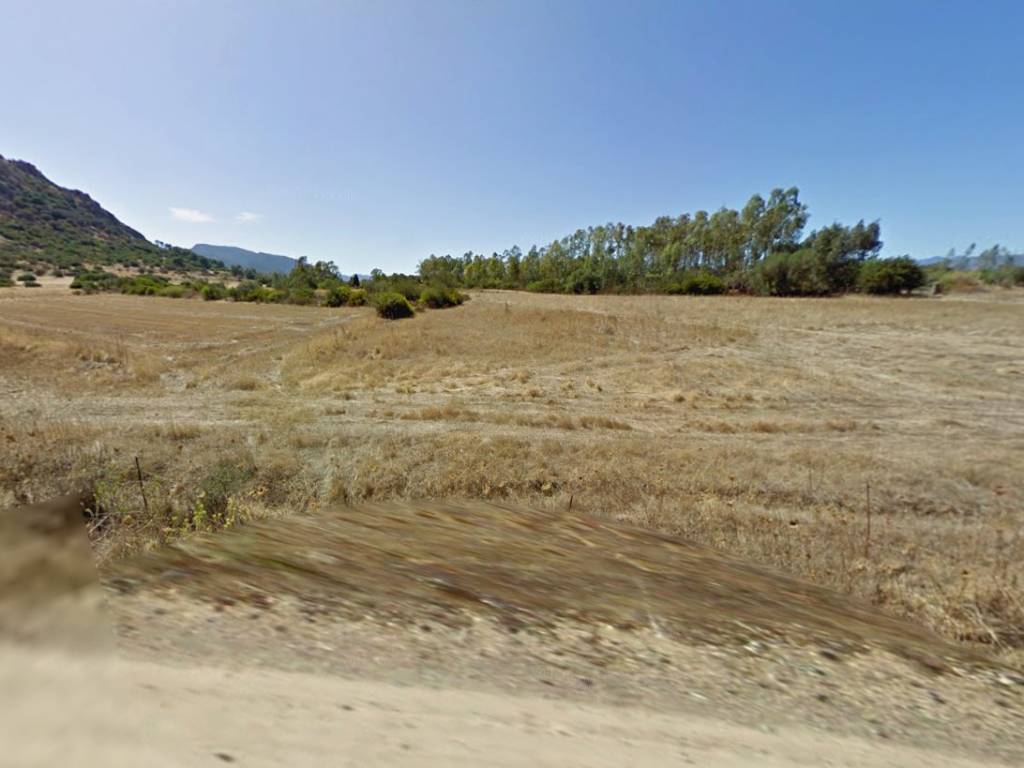 terreno agricolo in vendita a Siliqua