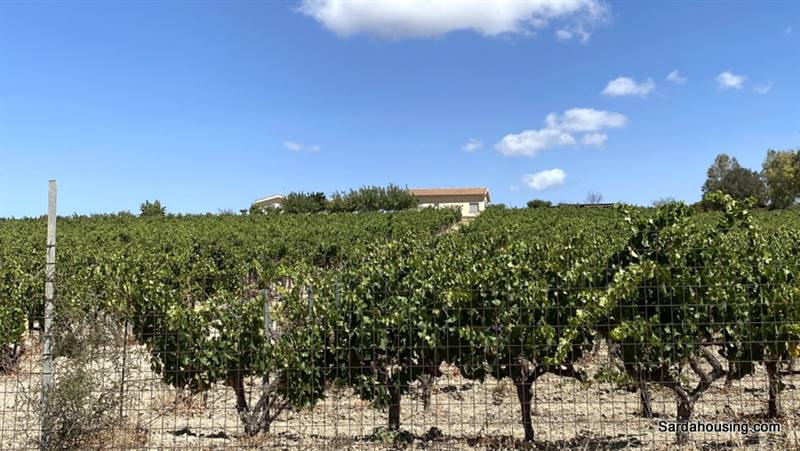 casale in vendita a Soleminis
