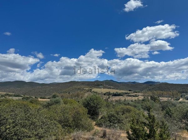 terreno agricolo in vendita a Soleminis