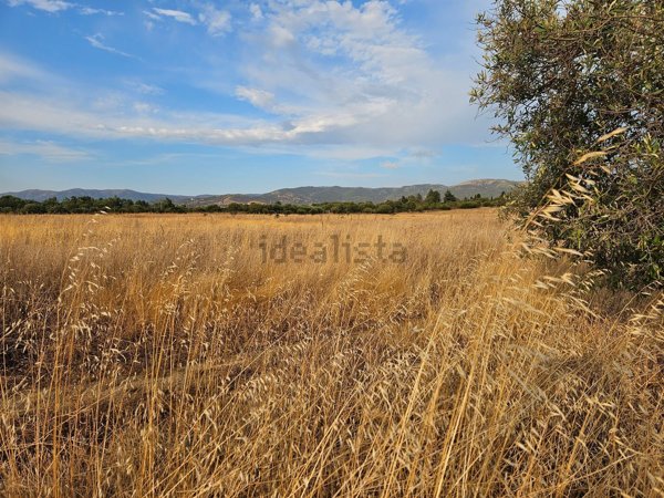 terreno agricolo in vendita a Soleminis