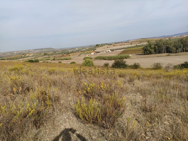 terreno agricolo in vendita a Soleminis