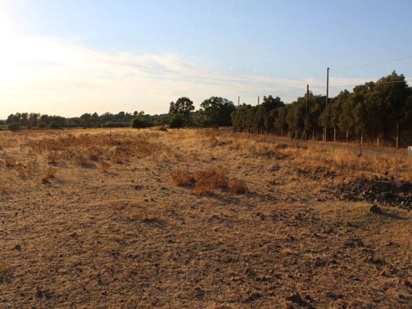 terreno agricolo in vendita a Soleminis