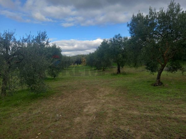 terreno agricolo in vendita a Soleminis