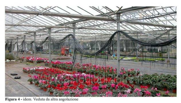 terreno agricolo in vendita a Suelli