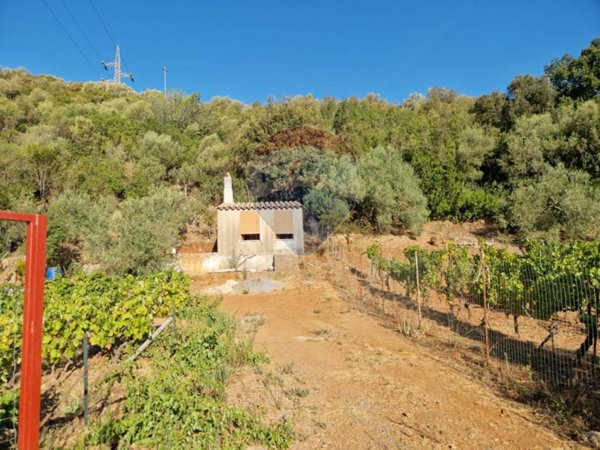 casa indipendente in vendita a Teulada