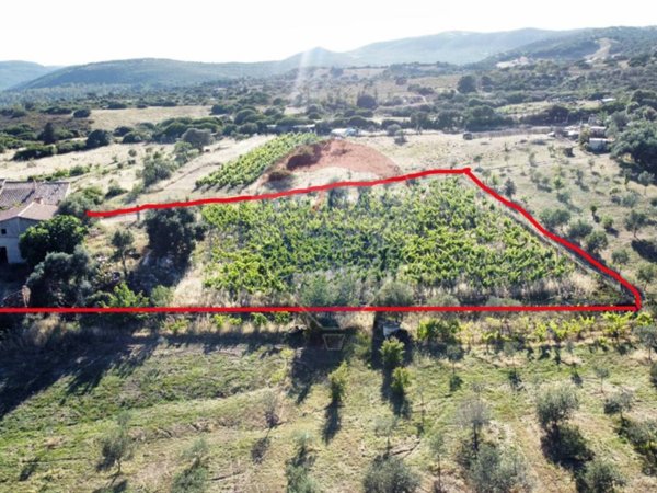casa indipendente in vendita a Teulada
