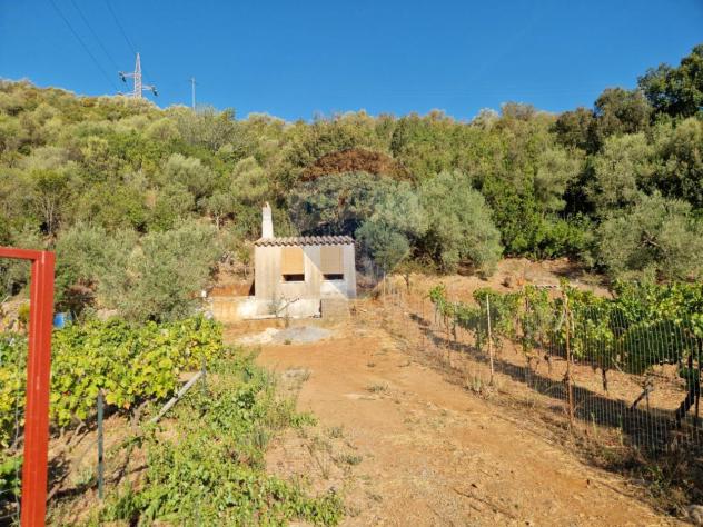terreno agricolo in vendita a Teulada
