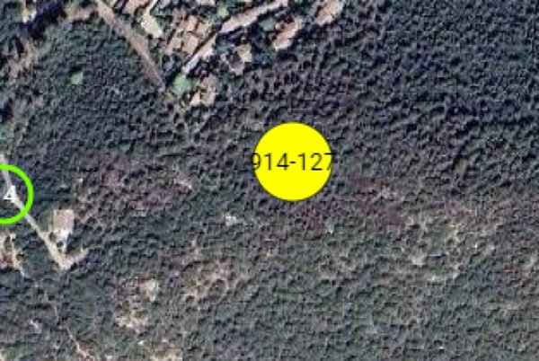 terreno agricolo in vendita a Teulada