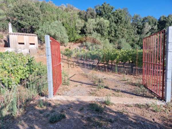 monolocale in vendita a Teulada