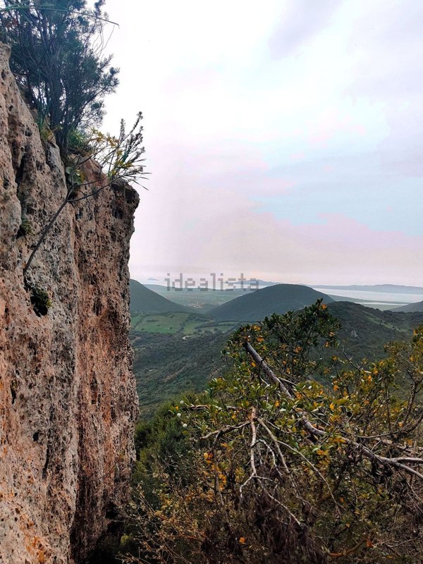 terreno agricolo in vendita a Teulada