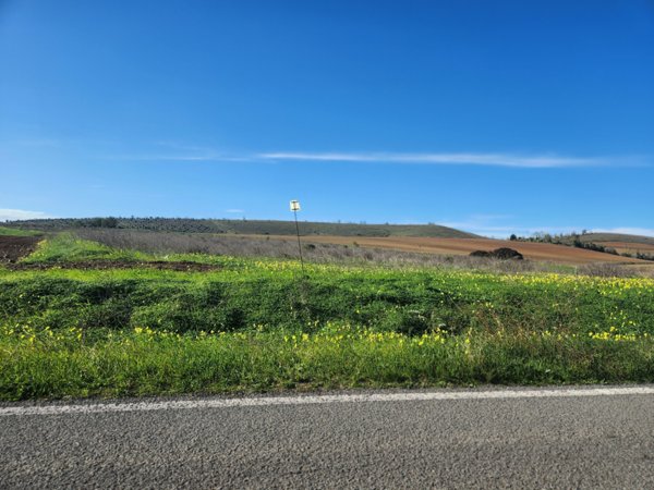 terreno agricolo in vendita ad Ussana