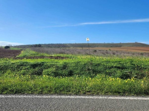 terreno agricolo in vendita ad Ussana