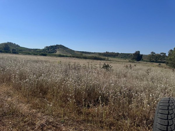terreno agricolo in vendita ad Ussana