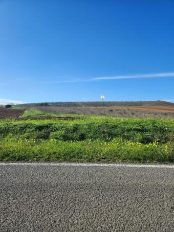terreno agricolo in vendita ad Ussana