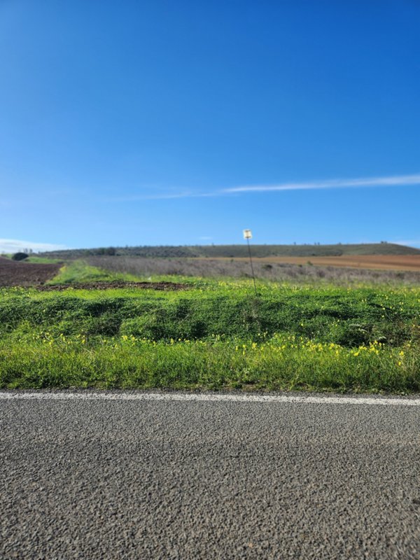 terreno agricolo in vendita ad Ussana