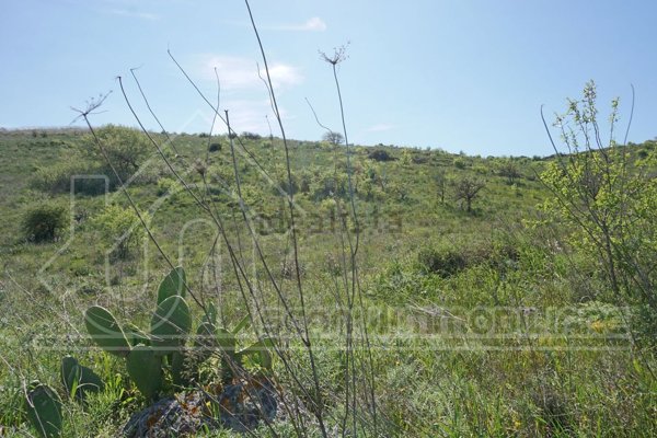 terreno in vendita ad Ussana