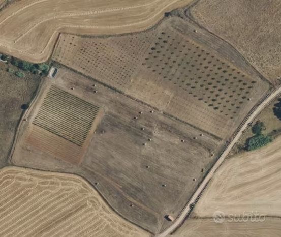 terreno agricolo in vendita ad Ussana