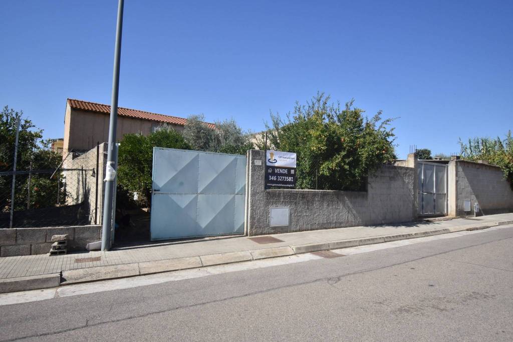 immagine annuncio 0 di 12