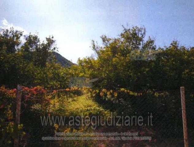 terreno agricolo in vendita a Villacidro