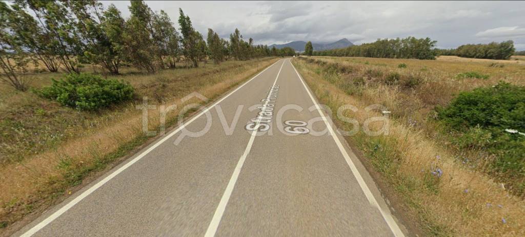azienda agricola in vendita a Villacidro