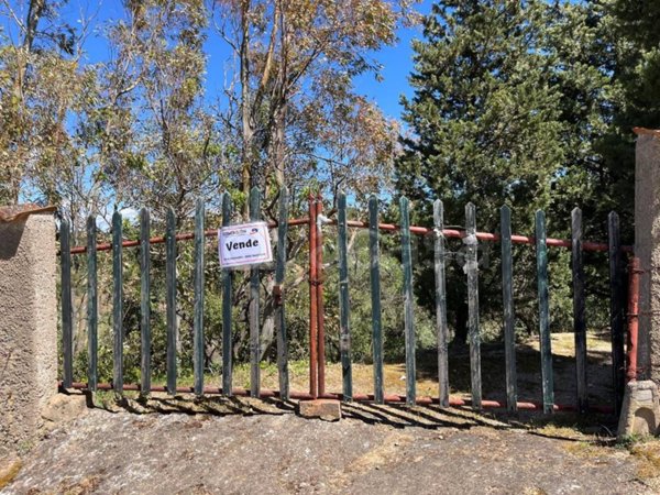 terreno agricolo in vendita a Villacidro