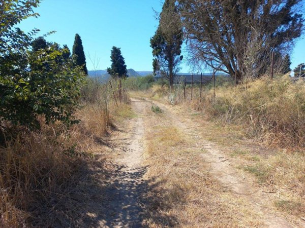 terreno agricolo in vendita a Villamassargia