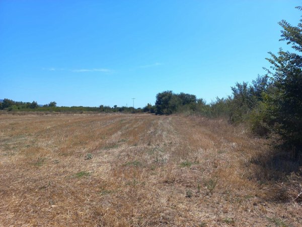 terreno agricolo in vendita a Villamassargia