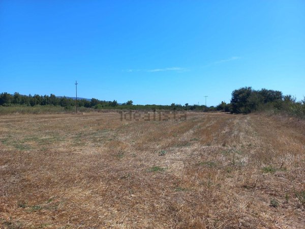 terreno agricolo in vendita a Villamassargia