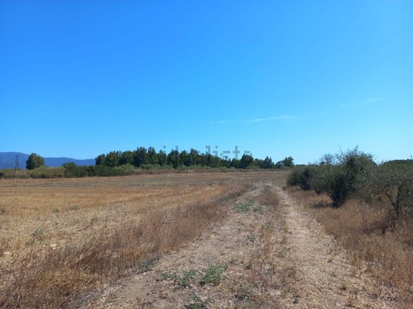 terreno agricolo in vendita a Villamassargia