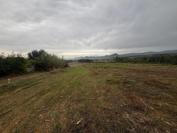 terreno agricolo in vendita a Villamassargia