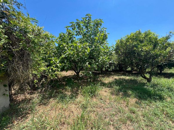terreno agricolo in vendita a Villaputzu