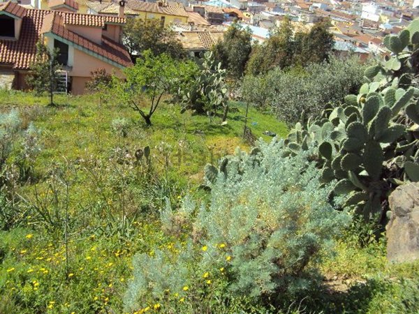 terreno edificabile in vendita a Villaputzu