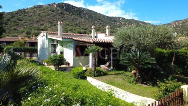 immagine annuncio 0 di 15