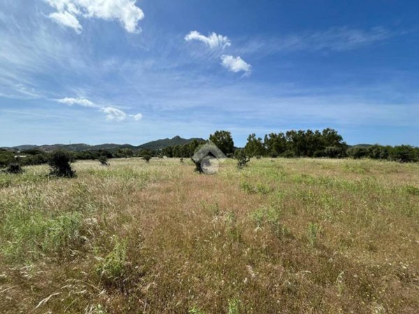 terreno agricolo in vendita a Villasimius