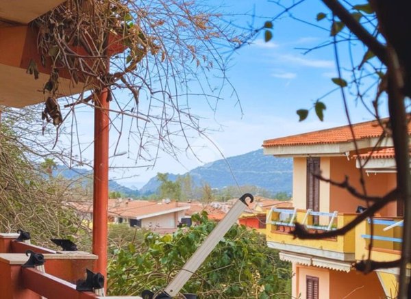 immagine annuncio 0 di 14