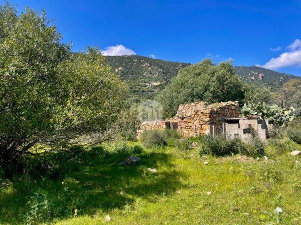 terreno agricolo in vendita a Villasimius