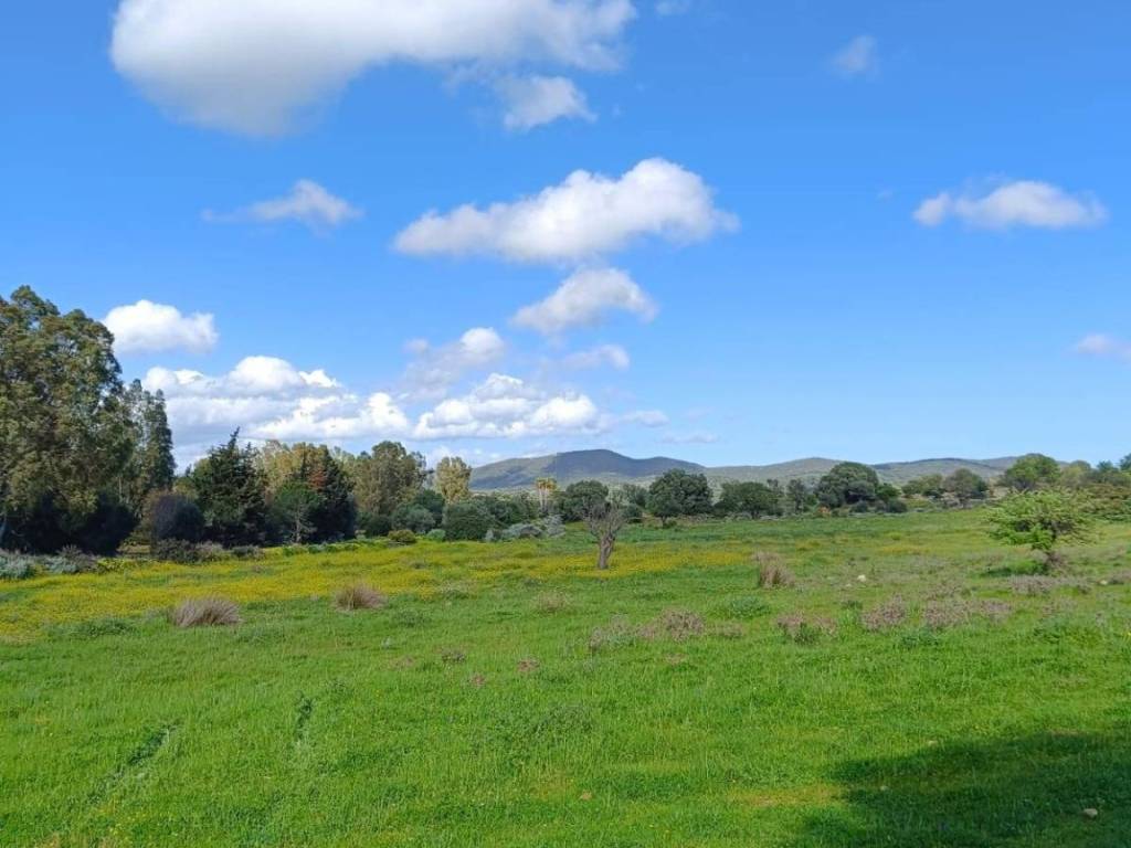 terreno agricolo in vendita a Villasimius