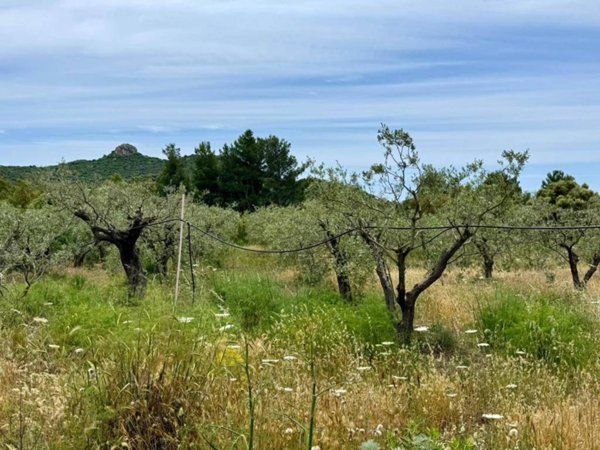 terreno edificabile in vendita a Villasimius