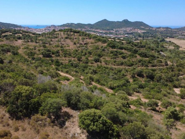 terreno agricolo in vendita a Villasimius